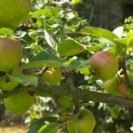 Nyaraló Bleu Menil-Vin