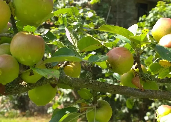 Casa vacanze Bleu Menil-Vin